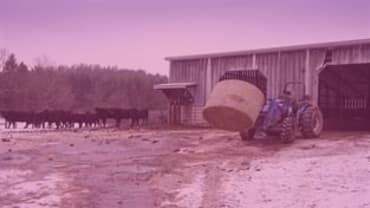 Falls from height: increased focus for HSE farm inspections